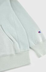 Reverse Weave Relaxed mint green Hoodie