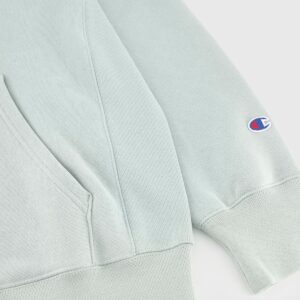 Reverse Weave Relaxed mint green Hoodie