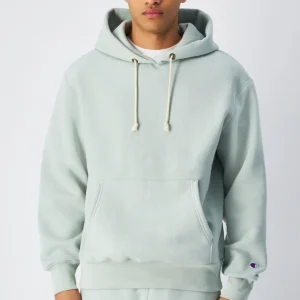 Reverse Weave Relaxed mint green Hoodie