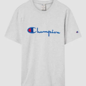 Men's T-Shirt in Heavy Cotton Jersey Grey Light